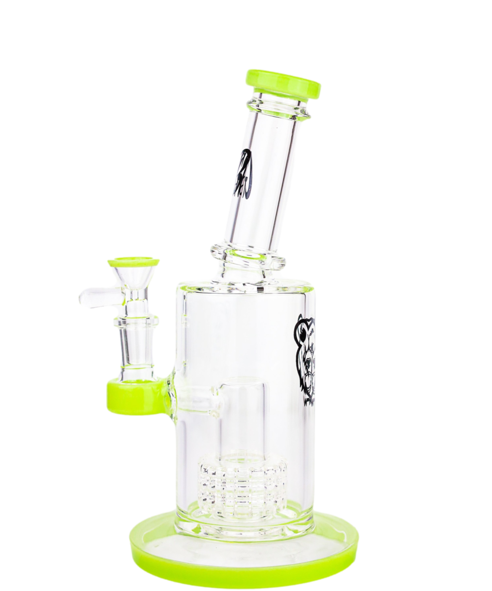 GREEN BEAR: 8" COLOR ACCENTED MATRIX CAN