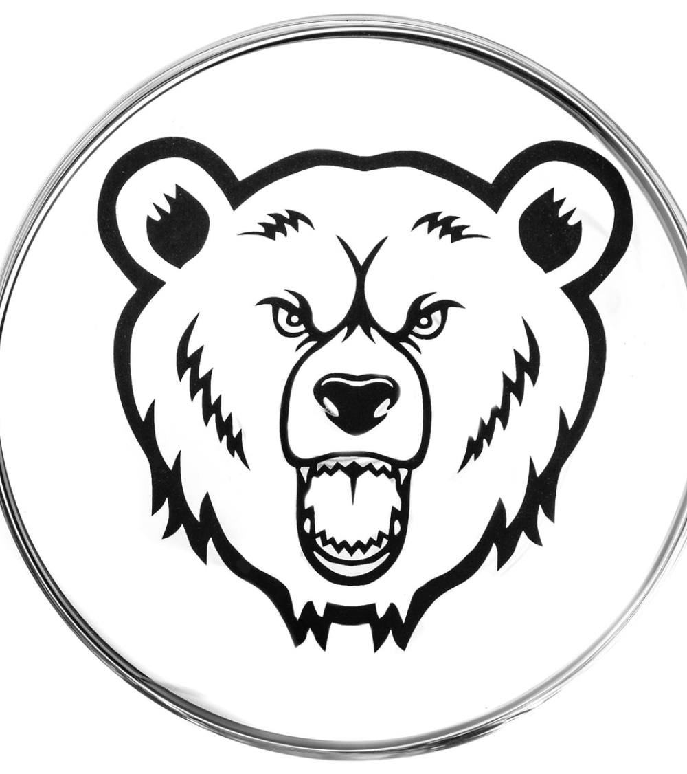 Alternative view of GREEN BEAR: 8" BEAKER