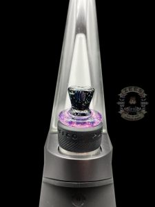 BLACK & TELIMAGENTA DICHRO