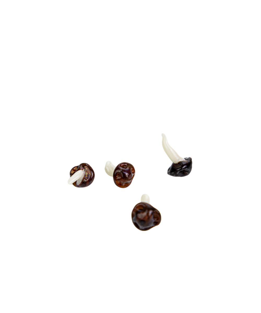 Alternative view of MUSHROOM TERP PEARL 1PC