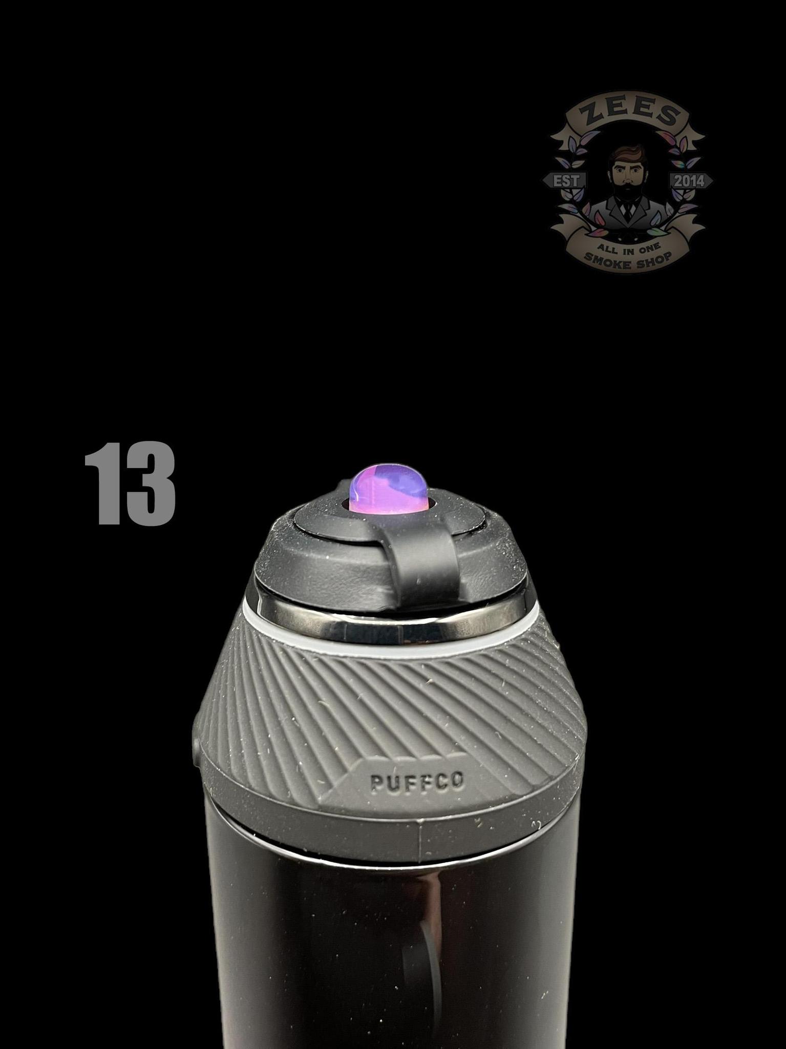 #13 PURPLE & FOREST PLUG