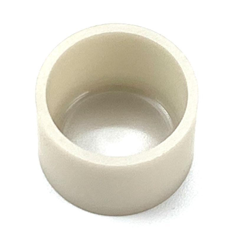 Alternative view of JCVAP: ICA ALN INSERT FOR PROXY CHAMBER