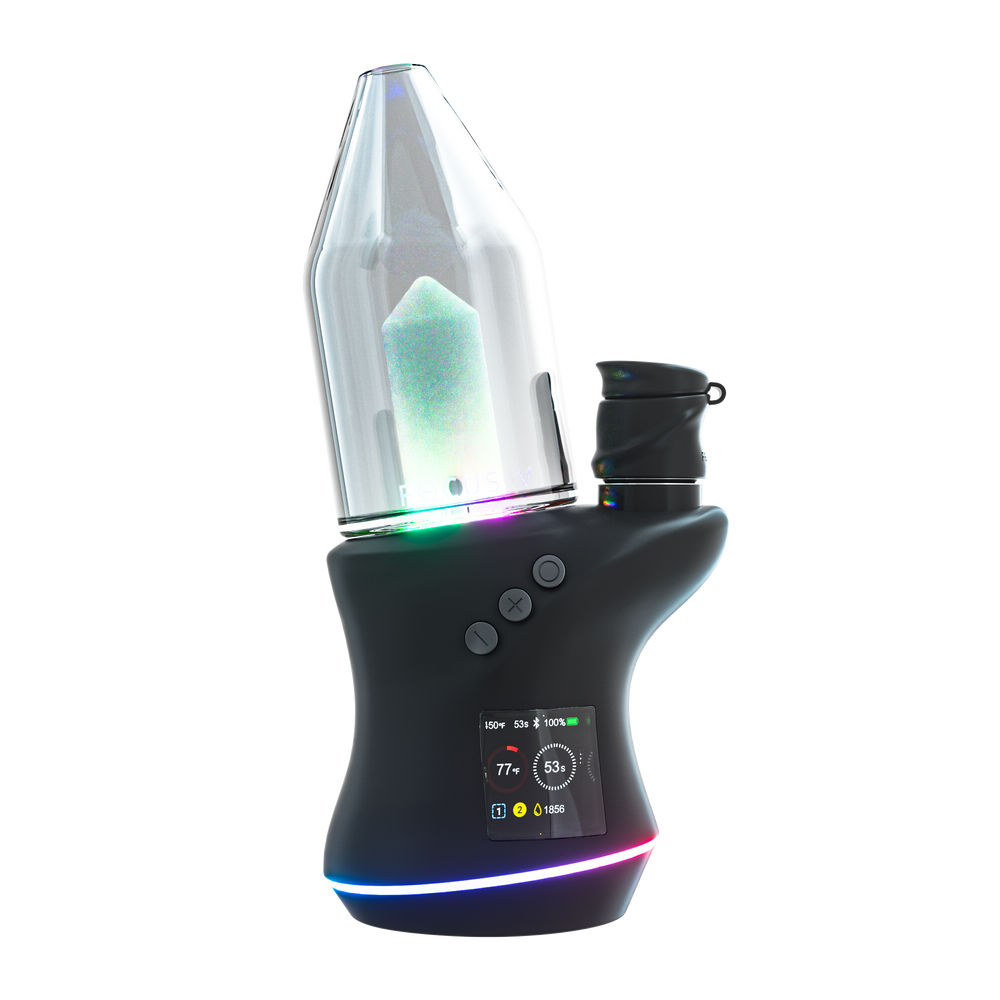 FOCUS V: CARTA 2 KIT