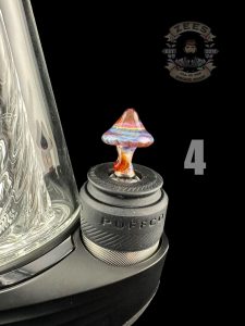 #4 AMBER PURPLE SHROOM