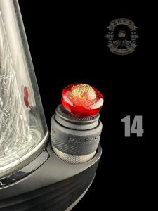 #14 HALF BLOOD DICHRO