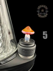 #5 AMBER PURPLE SHROOM