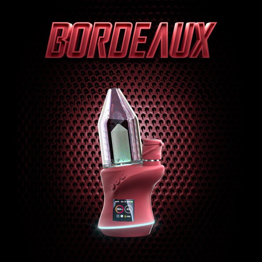 FOCUS V: CARTA 2 KIT LIMITED EDITION BORDEAUX