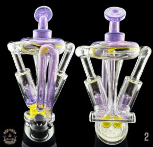 #2 - WILD BERRY X NS ROSEWELL