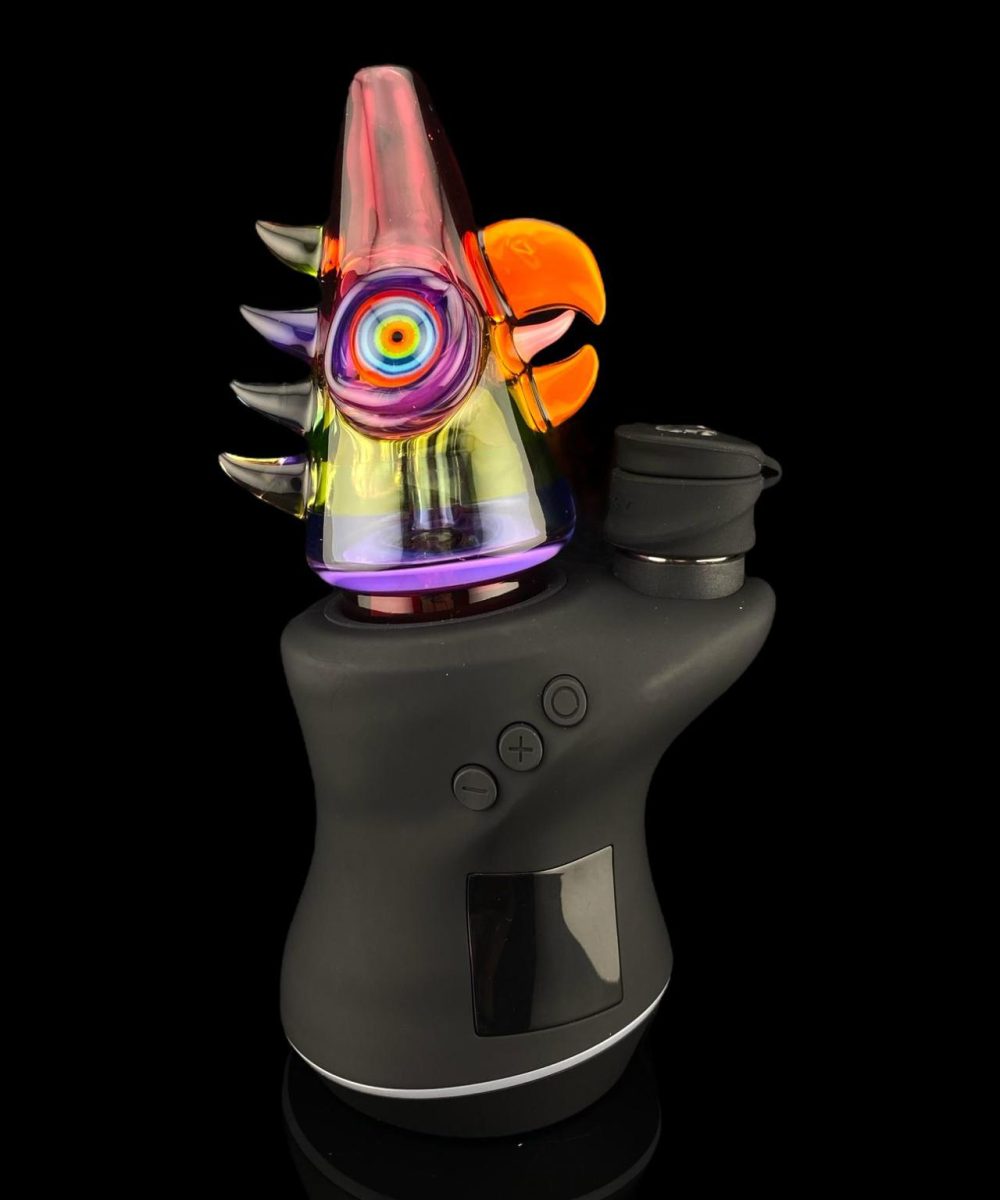 Alternative view of RJ GLASS: BIRD FOCUS V CARTA ATTACHMENT