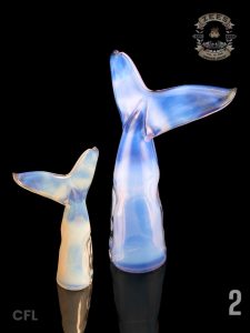 #2 - WET LUCID CFL DOLPHIN