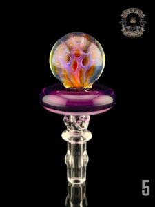 #5 HONEYCOMB X STARGAZER