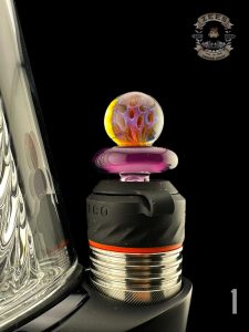 #1 - STARGAZER HONEYCOMB