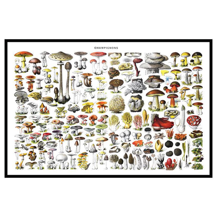 MOOD MATS: 18" CHAMPIGNONS 2024