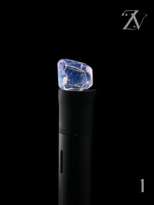 #1 LUCID (CFL) CROPAL