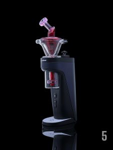 #5 - POPPY SEED X PINK SLYME